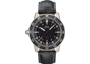 ジン 603.EZM3 SINN 603.EZM3