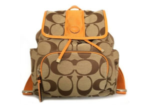 コーチ シグネチャー ストライプ バックパック COACH SIGNATURE STRIPE BACKPACK