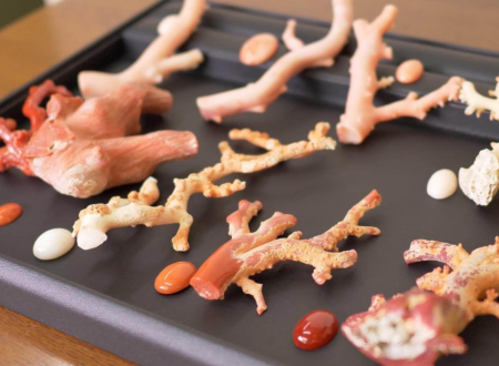 サンゴを売るなら「ネオプライス」へ!